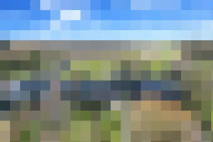 Blauwewijk 12 Wolphaartsdijk thumbnail 35