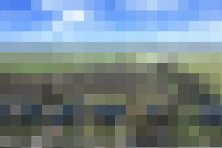Blauwewijk 12 Wolphaartsdijk thumbnail 36