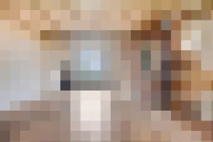 Blauwewijk 12 Wolphaartsdijk thumbnail 4