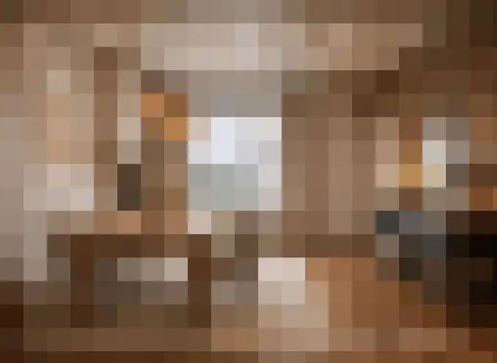 Blauwewijk 12 Wolphaartsdijk thumbnail 6