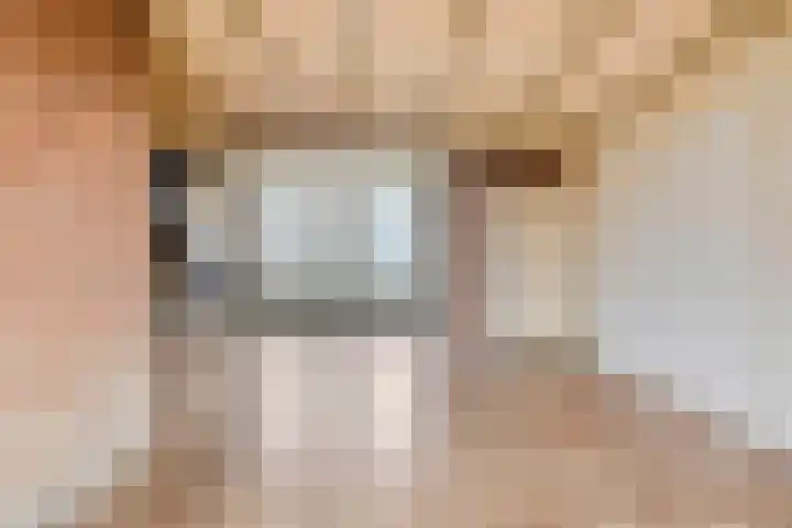 Blauwewijk 12 Wolphaartsdijk thumbnail 7
