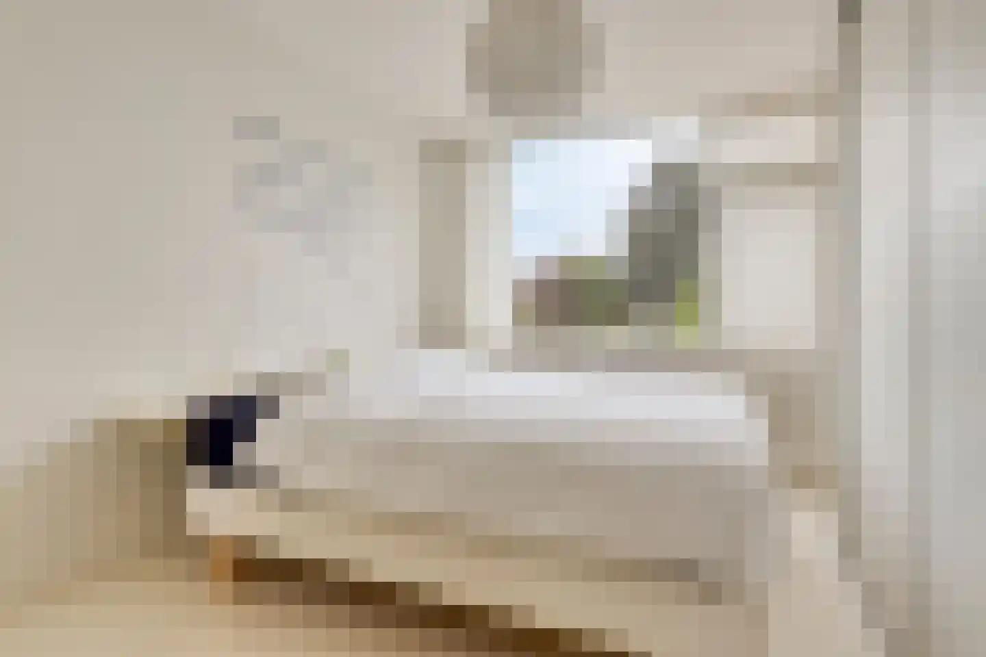 Blauwewijk 22 Wolphaartsdijk thumbnail 23