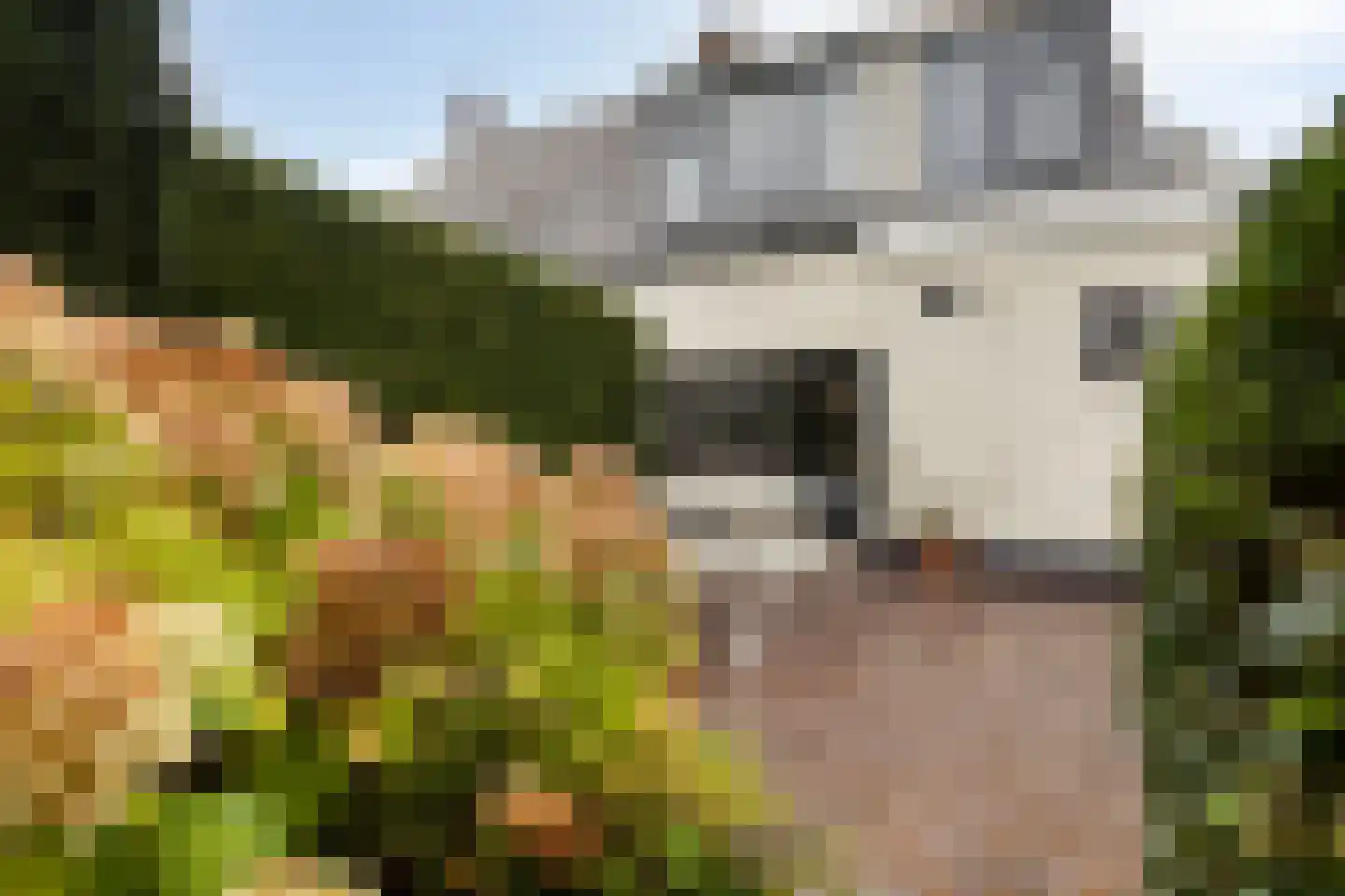 Blauwewijk 22 Wolphaartsdijk thumbnail 31