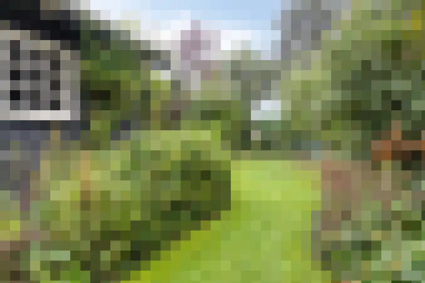 Blauwewijk 22 Wolphaartsdijk thumbnail 32