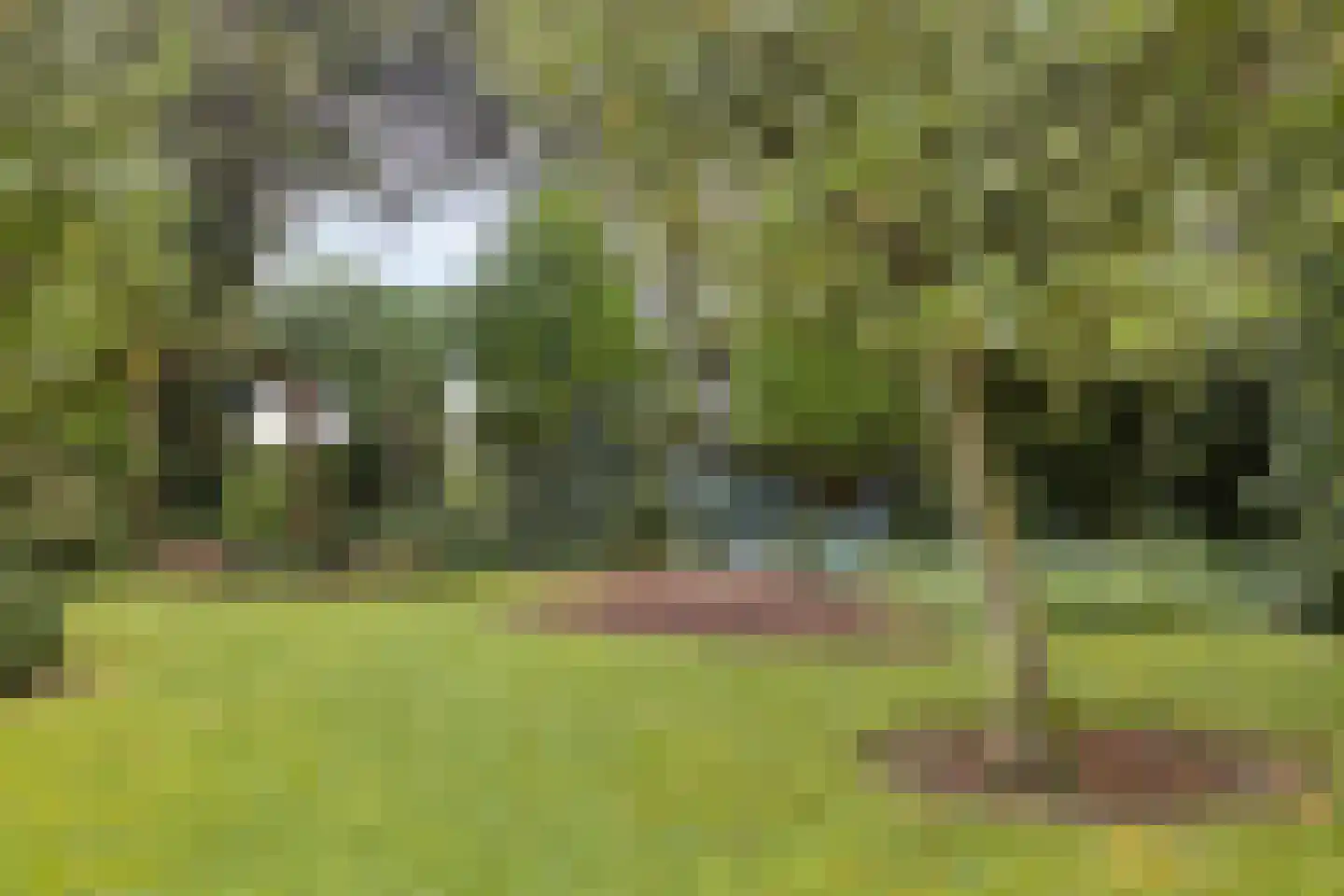 Blauwewijk 22 Wolphaartsdijk thumbnail 33