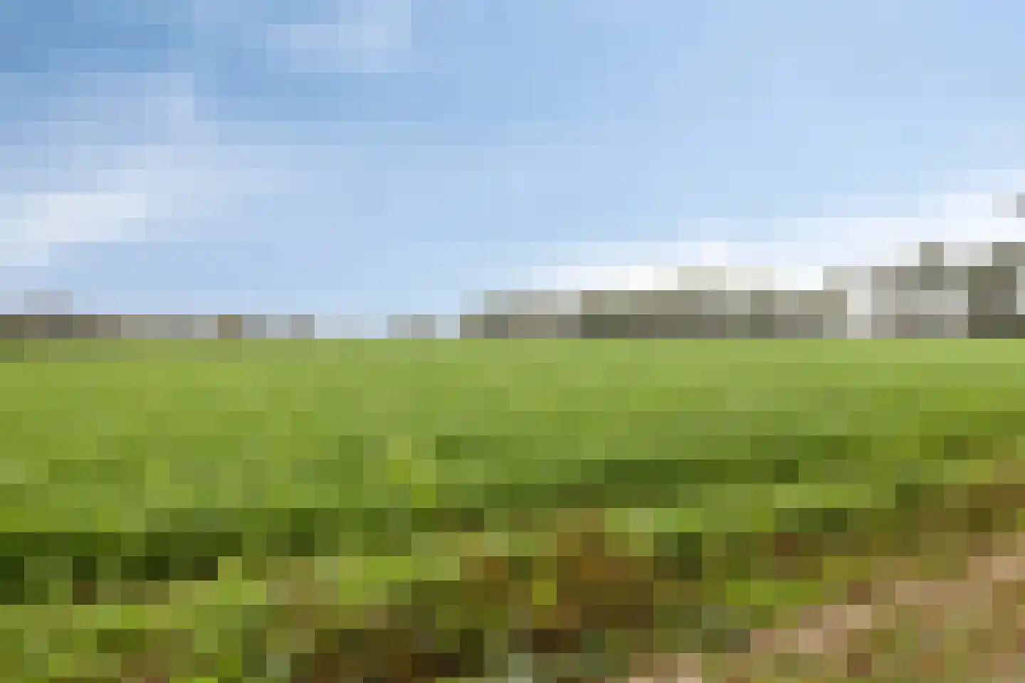 Blauwewijk 22 Wolphaartsdijk thumbnail 36