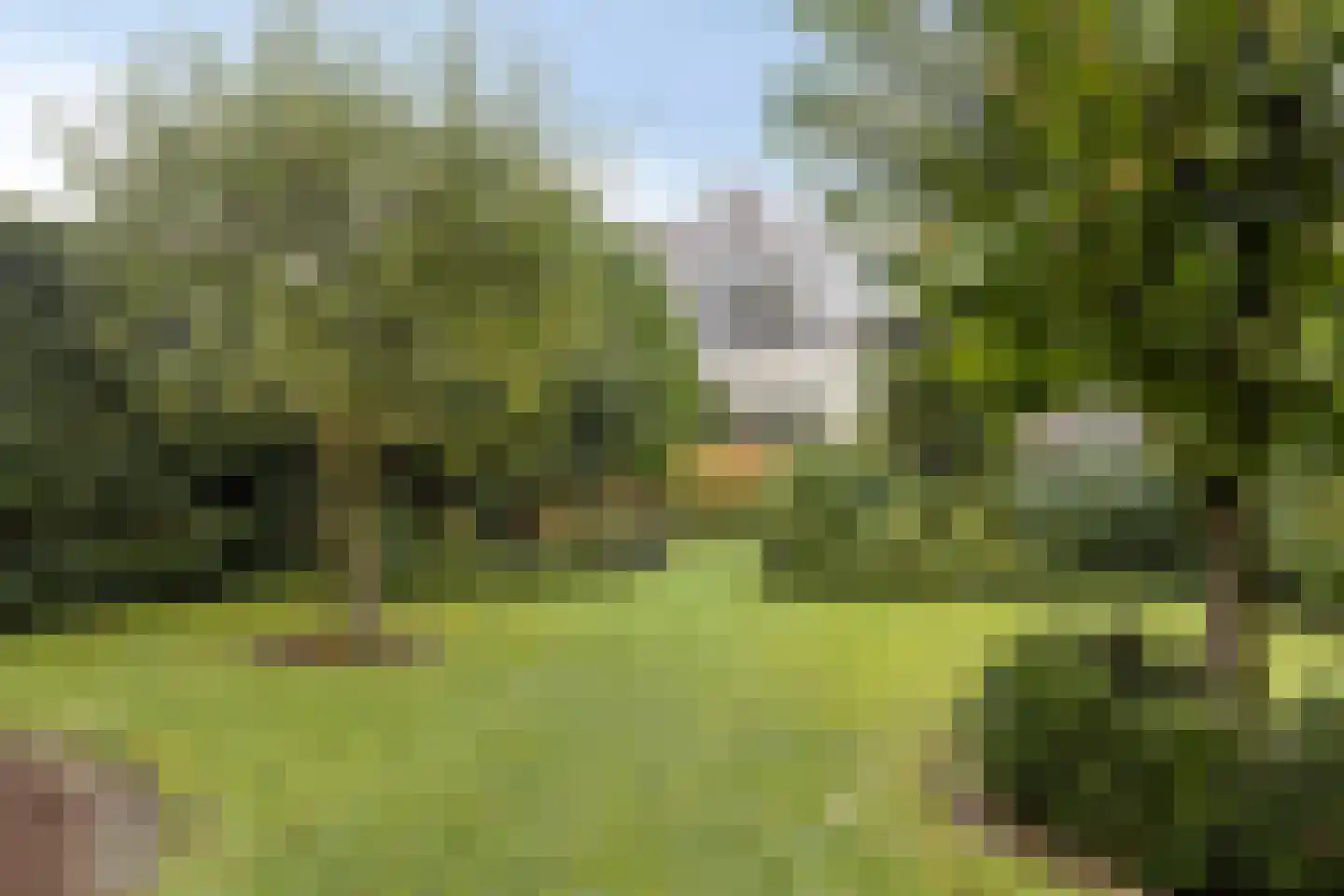 Blauwewijk 22 Wolphaartsdijk thumbnail 37