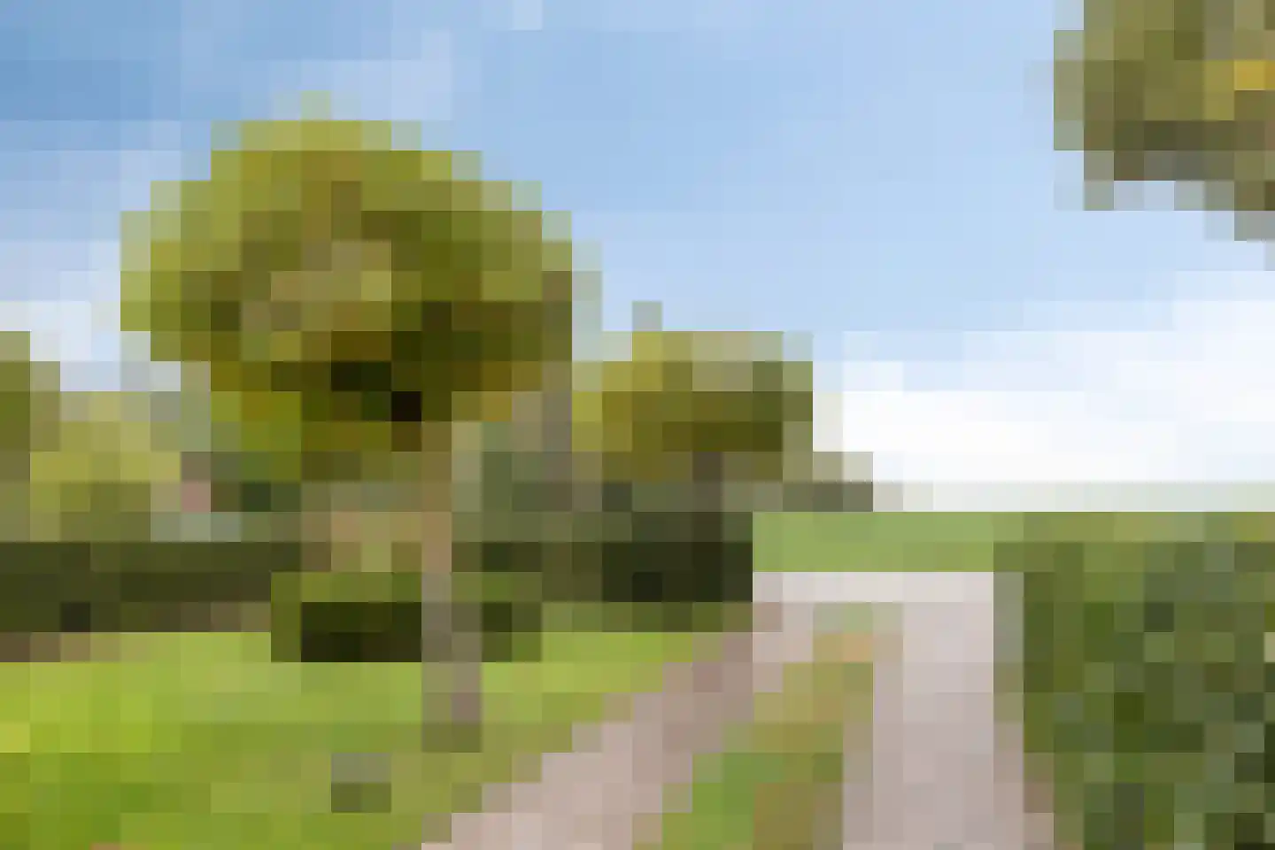 Blauwewijk 22 Wolphaartsdijk thumbnail 38