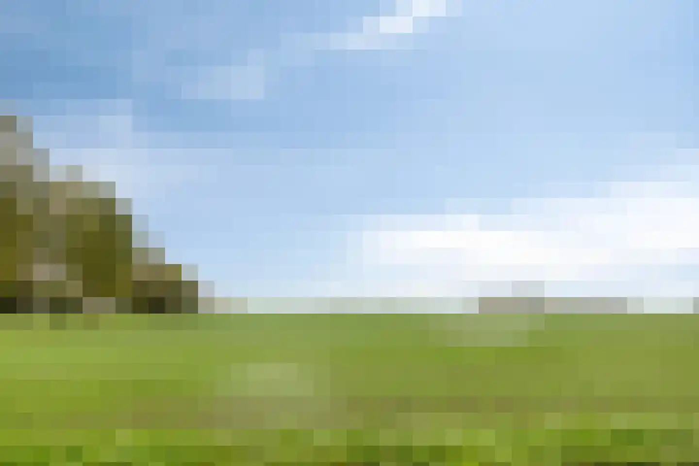 Blauwewijk 22 Wolphaartsdijk thumbnail 39