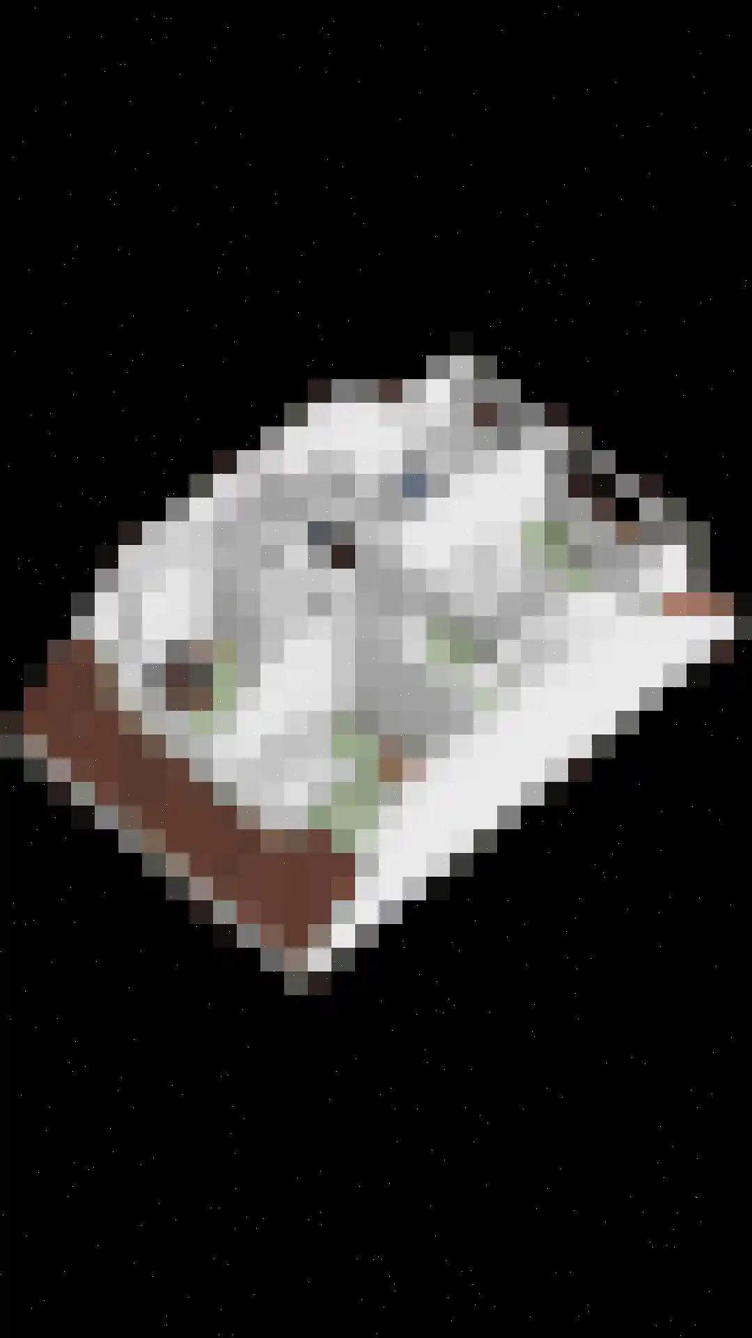 Blauwewijk 22 Wolphaartsdijk thumbnail 43