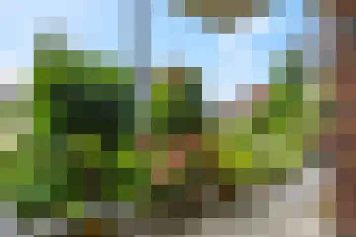 Blauwgras 1 05 Veenendaal thumbnail 19