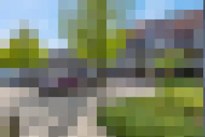Blauwgras 1 05 Veenendaal thumbnail 22