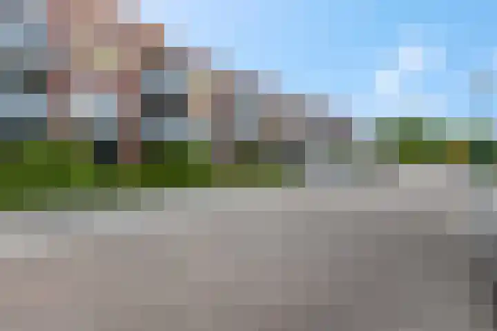 Blauwgras 1 05 Veenendaal thumbnail 24