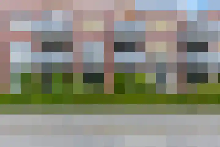 Blauwgras 1 05 Veenendaal thumbnail 28