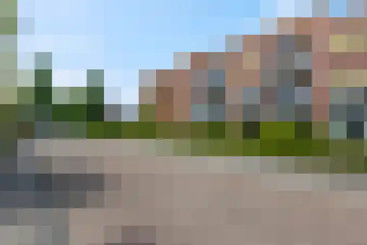 Blauwgras 1 05 Veenendaal thumbnail 6