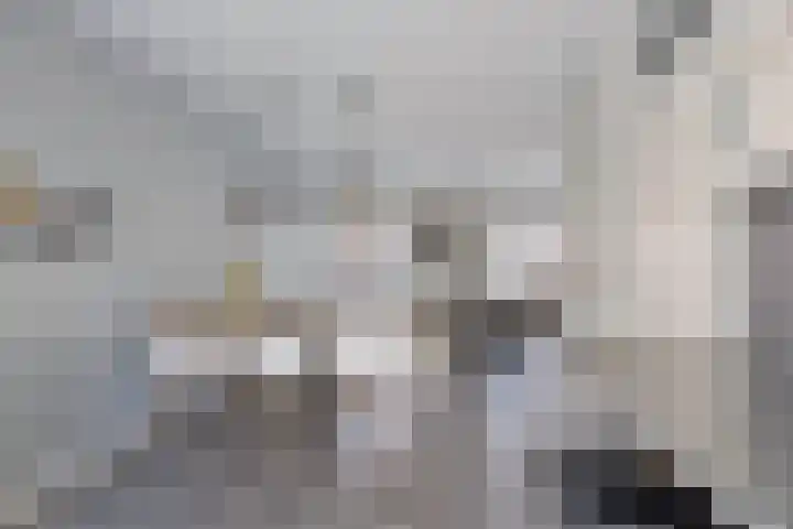 Blauwgras 105 Borne thumbnail 11