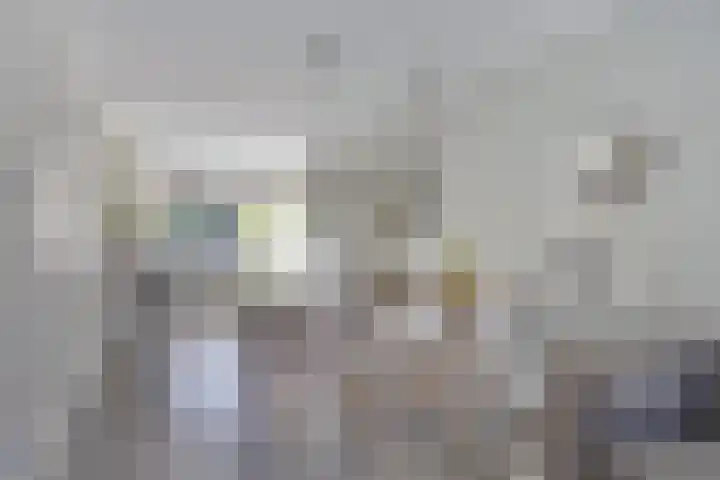 Blauwgras 105 Borne thumbnail 12