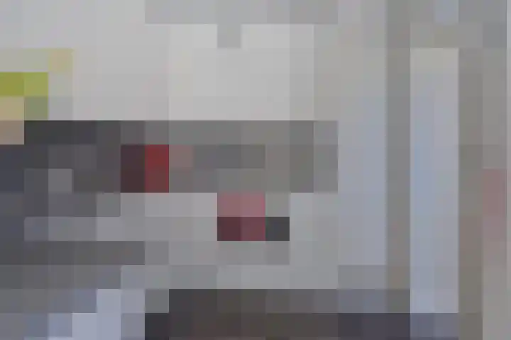 Blauwgras 105 Borne thumbnail 17