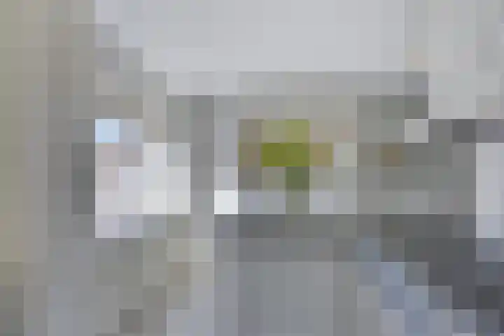 Blauwgras 105 Borne thumbnail 18
