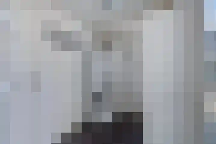 Blauwgras 105 Borne thumbnail 20