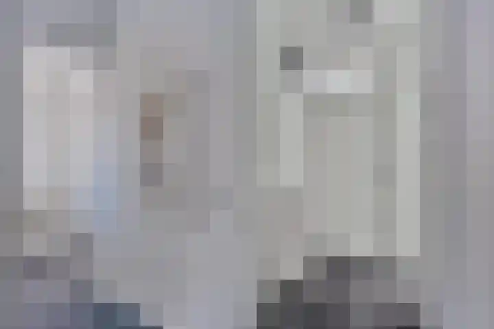 Blauwgras 105 Borne thumbnail 21