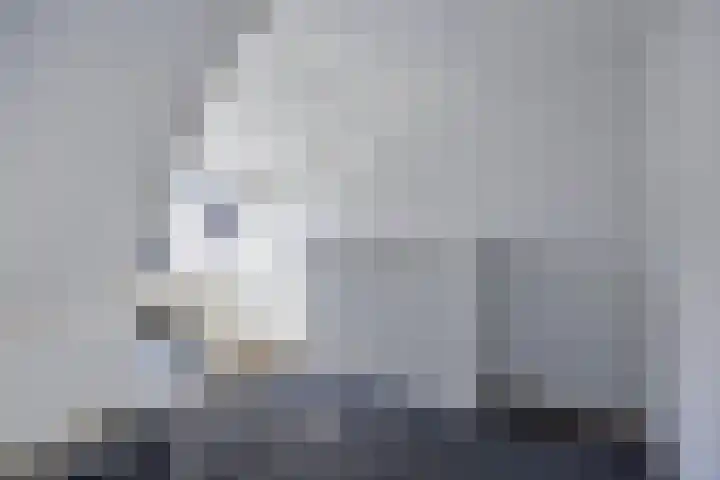 Blauwgras 105 Borne thumbnail 26