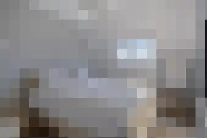 Blauwgras 105 Borne thumbnail 27