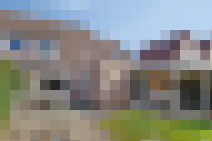 Blauwgras 105 Borne thumbnail 29