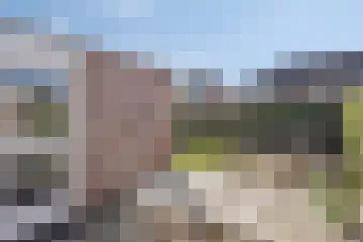 Blauwgras 105 Borne thumbnail 30