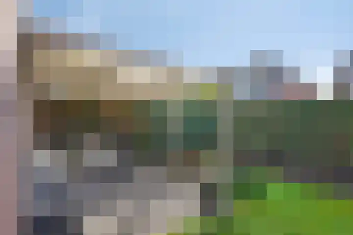 Blauwgras 105 Borne thumbnail 31