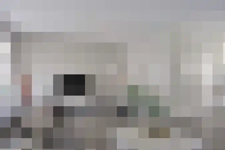 Blauwgras 105 Borne thumbnail 6