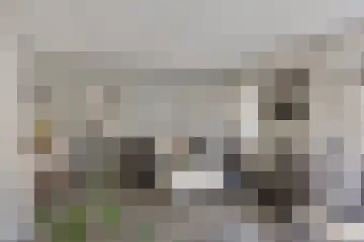 Blauwgras 105 Borne thumbnail 8