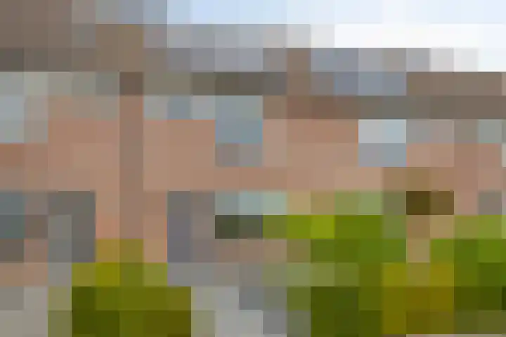 Blauwgras 11 Borne