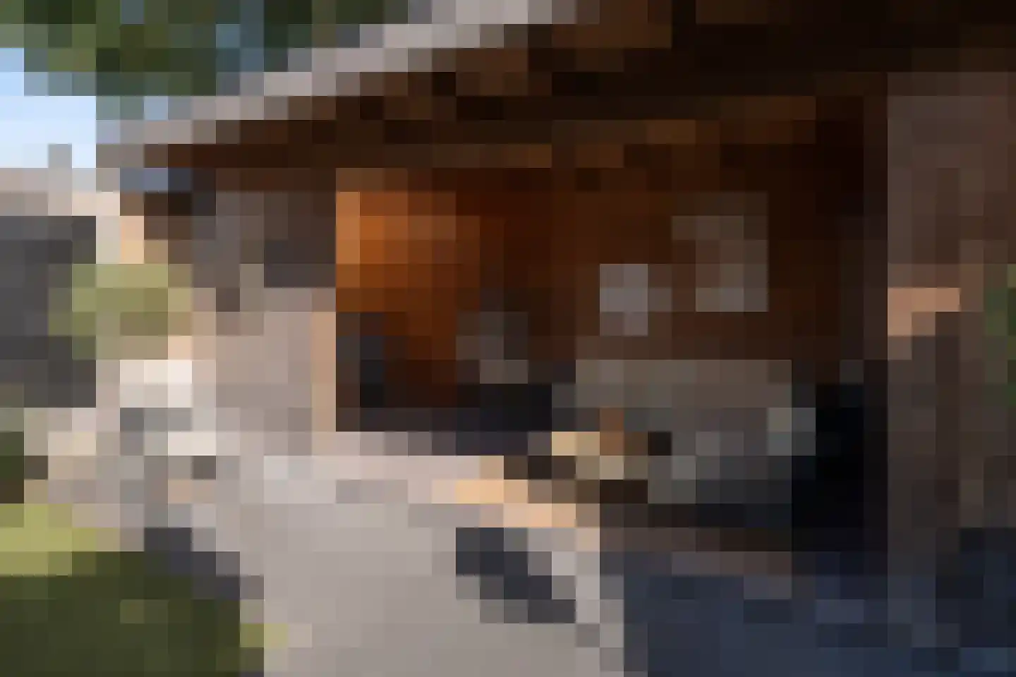 Blauwgras 22 Stroe thumbnail 45