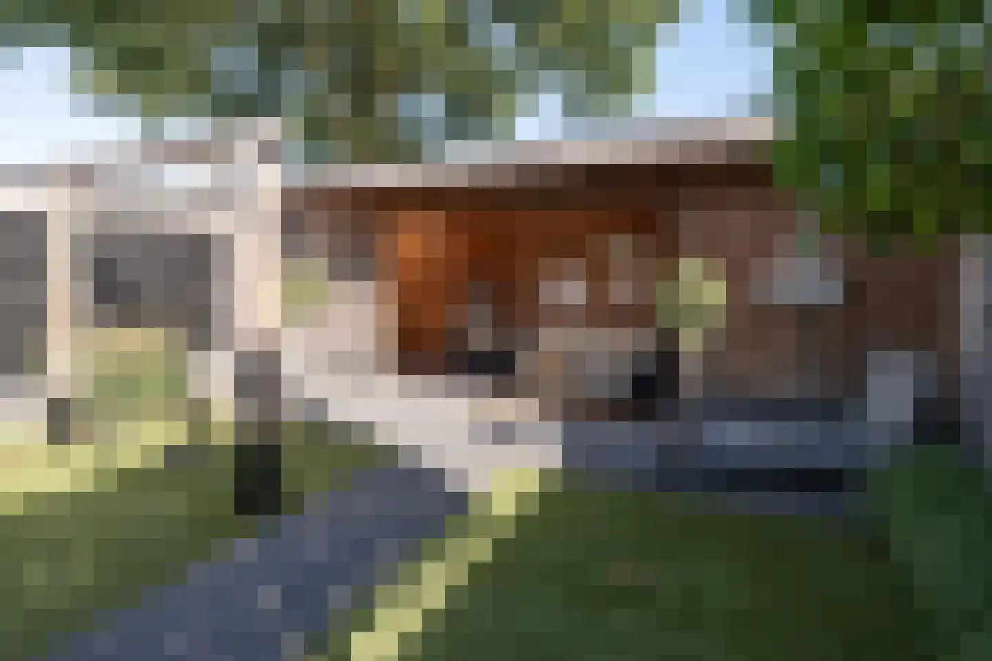 Blauwgras 22 Stroe thumbnail 49