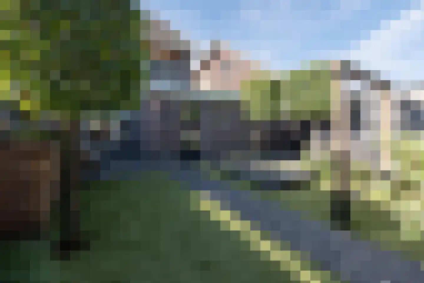 Blauwgras 22 Stroe thumbnail 50