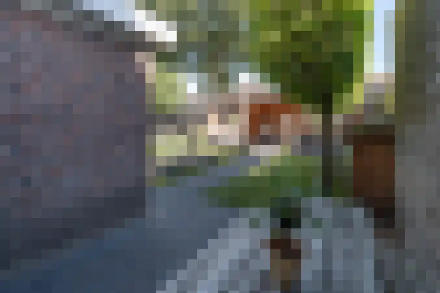 Blauwgras 22 Stroe thumbnail 51