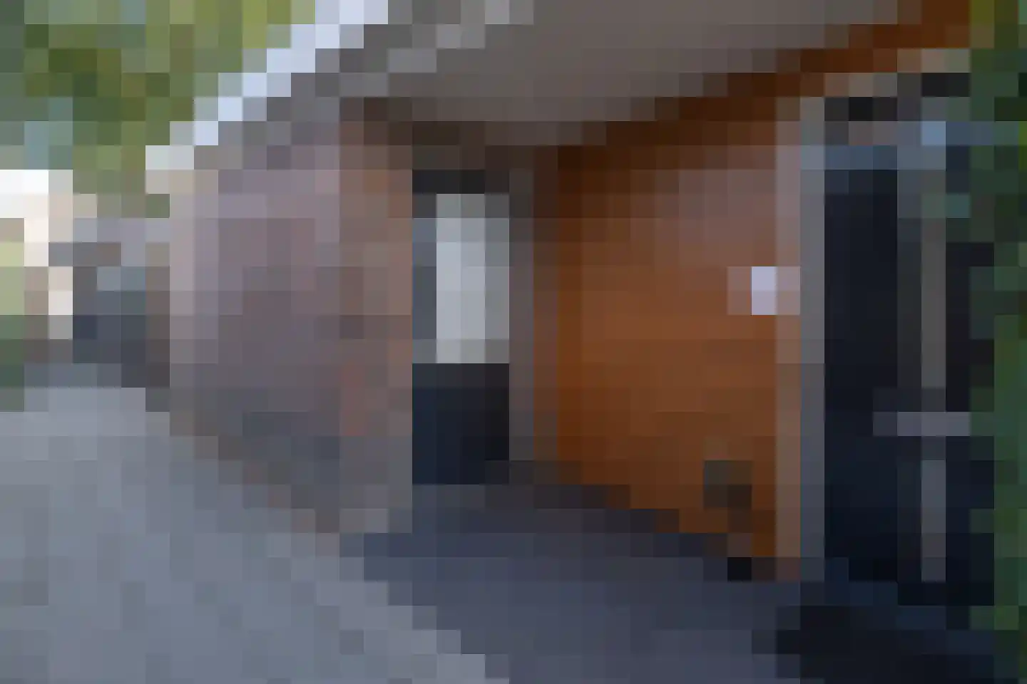 Blauwgras 22 Stroe thumbnail 52