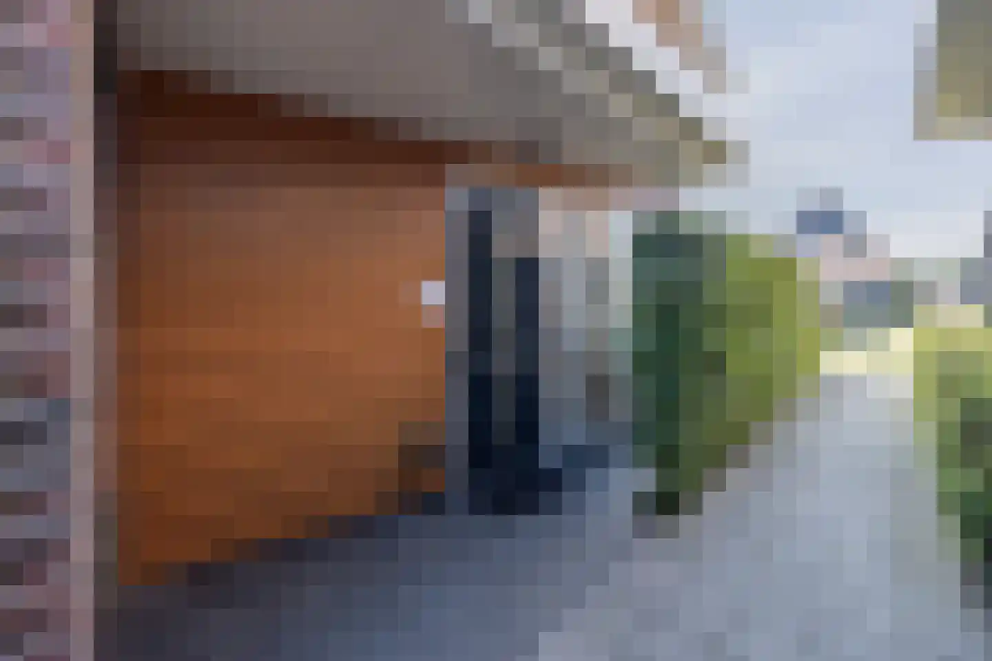 Blauwgras 22 Stroe thumbnail 53