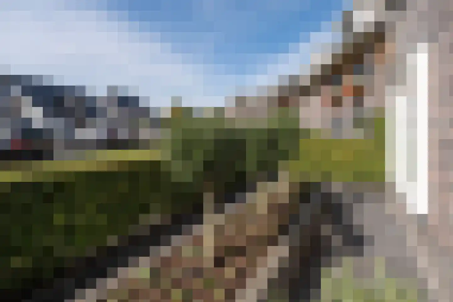 Blauwgras 22 Stroe thumbnail 54