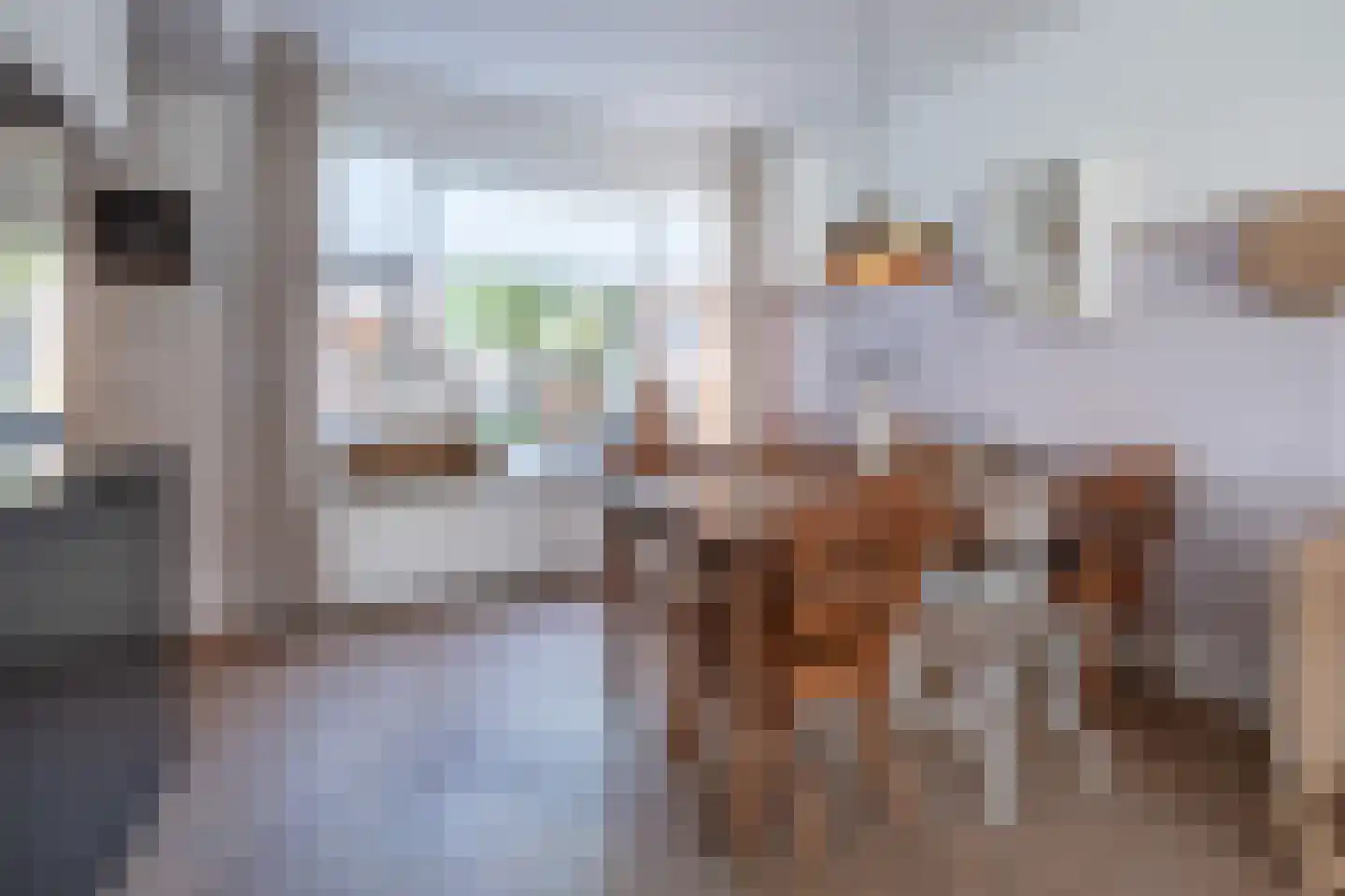 Blauwgras 22 Stroe thumbnail 8