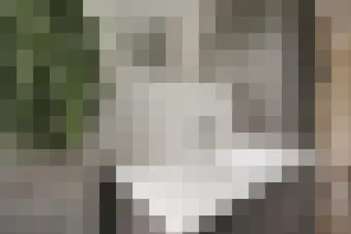 Blauwgras 28 Houten thumbnail 15
