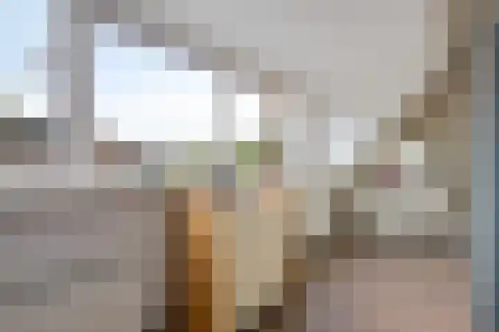Blauwgras 28 Houten thumbnail 19