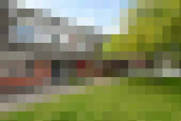 Blauwgras 28 Houten thumbnail 26