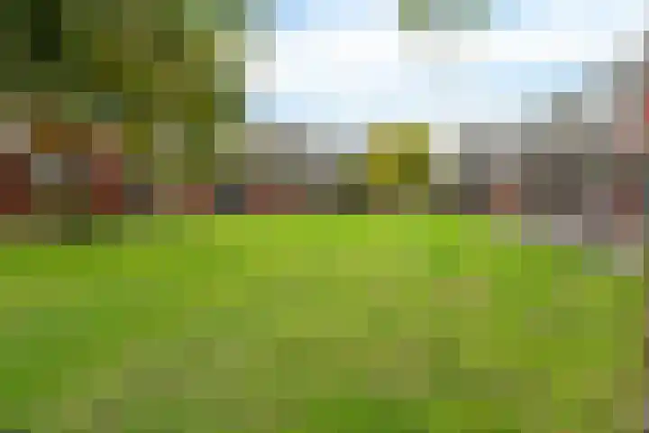 Blauwgras 28 Houten thumbnail 27