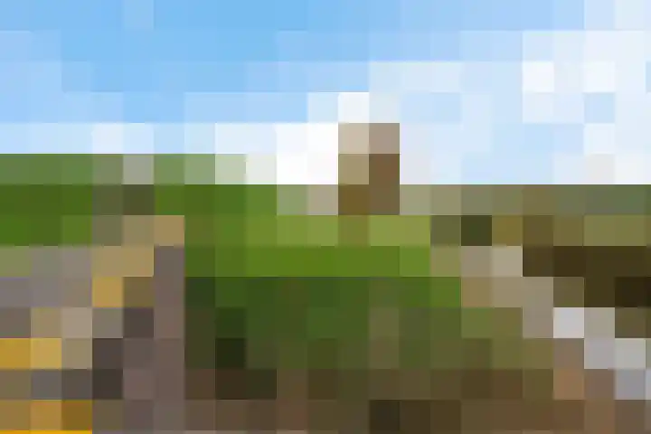 Blauwgras 28 Houten thumbnail 28