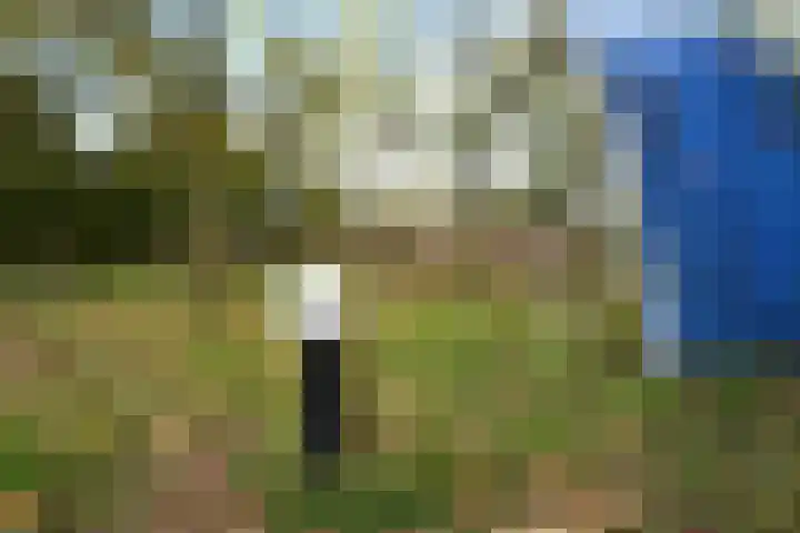 Blauwgras 28 Houten thumbnail 30