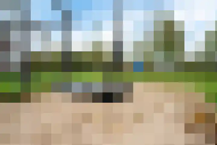 Blauwgras 28 Houten thumbnail 31
