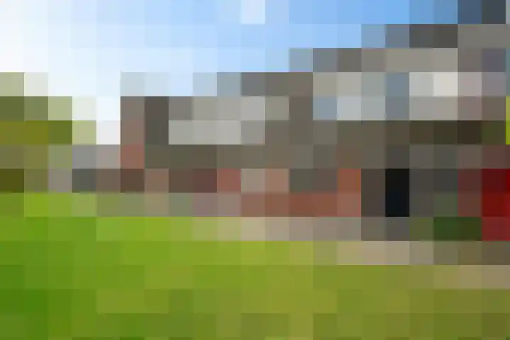 Blauwgras 28 Houten thumbnail 32