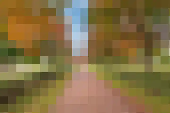 Blauwgras 28 Houten thumbnail 33